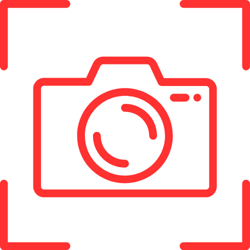 Trans Live Cams